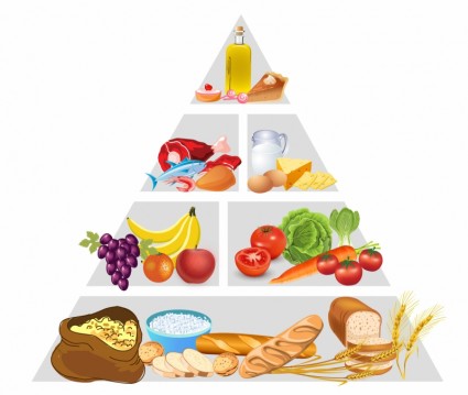 food_pyramid_311984